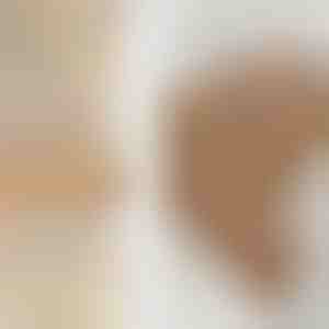 Ringset | SPARKLET