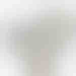 Witte doos met roos | WHITEBOX