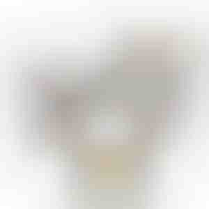 Witte doos met roos | WHITEBOX