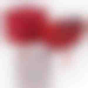 Van oma aan kleindochter | NOA_CLOVERIE_APPLEROSE