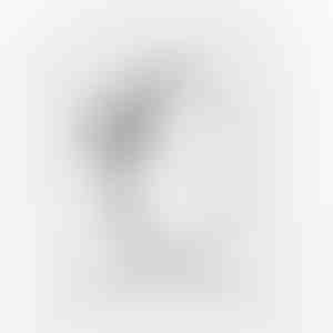 Belofte ring | HEARTISO