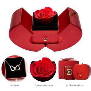 Halsketting in geschenkdoos | HEARTS_APPLEROSE