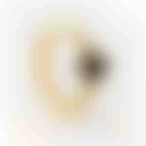 Oorbellen | JUPITER_GOLD