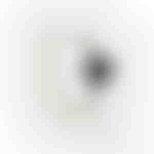 Oorbellen | JUPITER_SILVER
