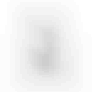 Oorbellen | LUNA_SILVER