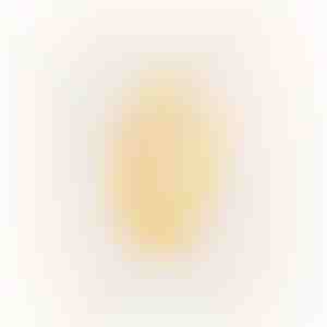 Oorbellen | OLIVIA_GOLD