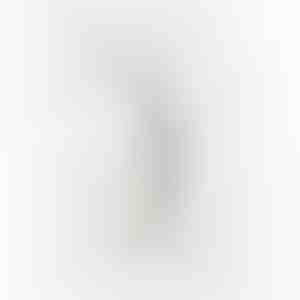 Oorbellen | VIVIANA_SILVER